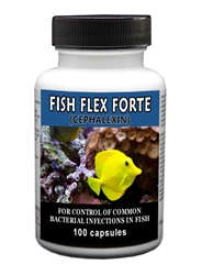 Fish Flex Forte l Cephalexin For Fish