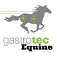 GastroTec Ulcer Paste For Horses