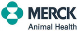 Mometamex l Ear Antibiotic For Dogs